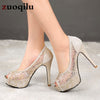 2019 Sexy Peep Toe Platform heels women's shoes Mesh Gold Silver